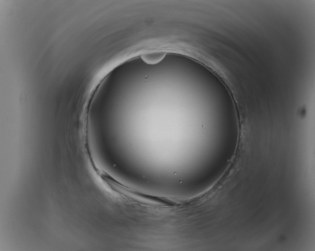 X0000112881528200908281625