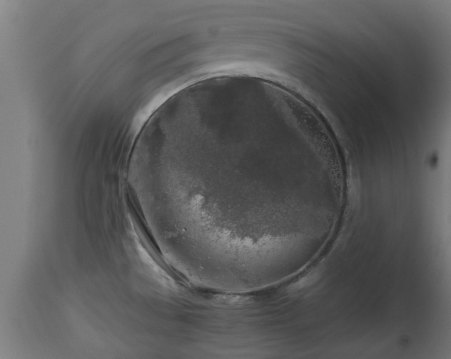 X0000112881529200908281625