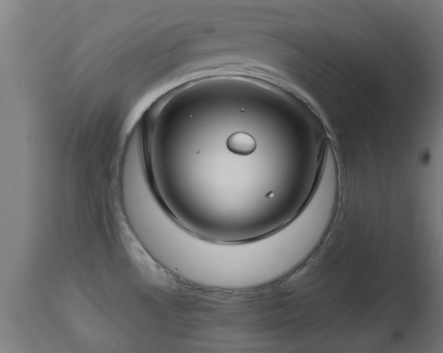 X0000112881530200908281625