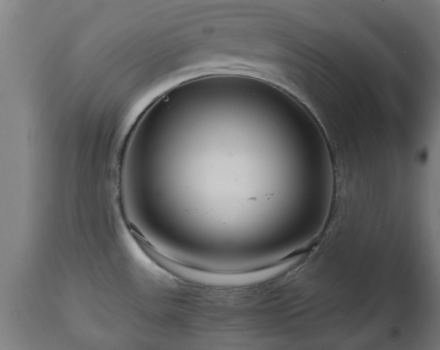 X0000112881531200908281625