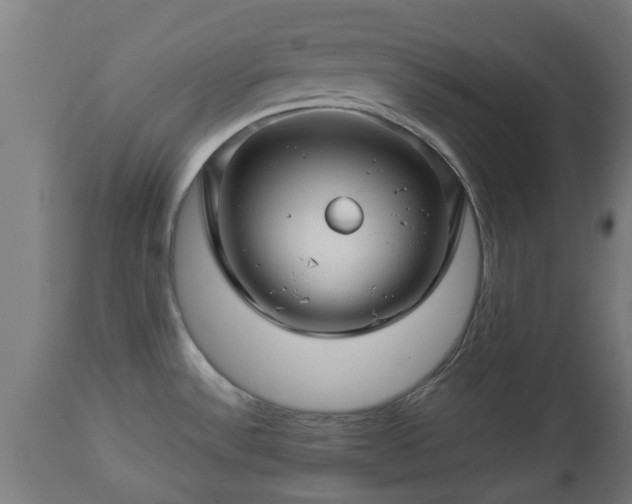 X0000112881532200908281625