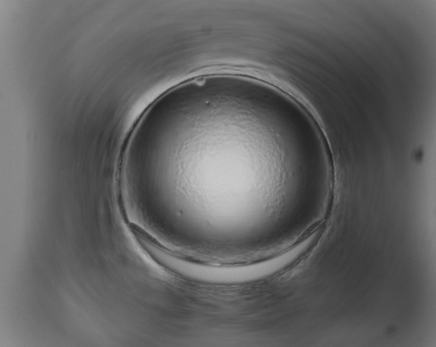 X0000112881533200908281625