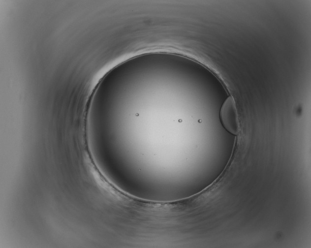 X0000112881534200908281625