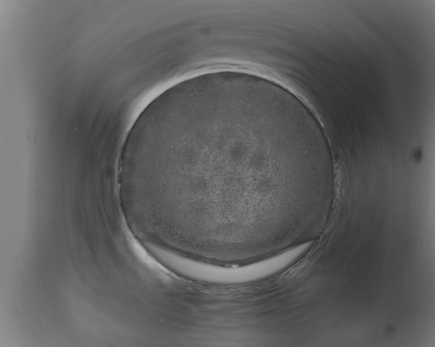 X0000112881535200908281625