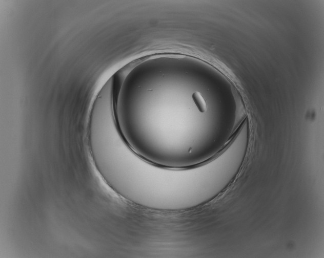 X0000112881536200908281625