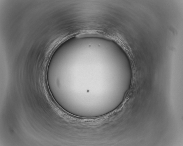 X0000112880001200909041650