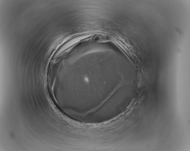 X0000112880002200909041650