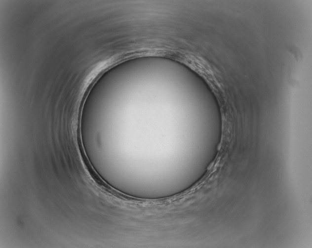 X0000112880003200909041650