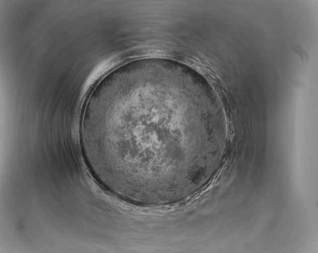 X0000112880004200909041650