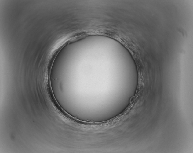 X0000112880005200909041650