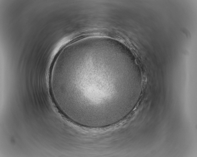 X0000112880006200909041650