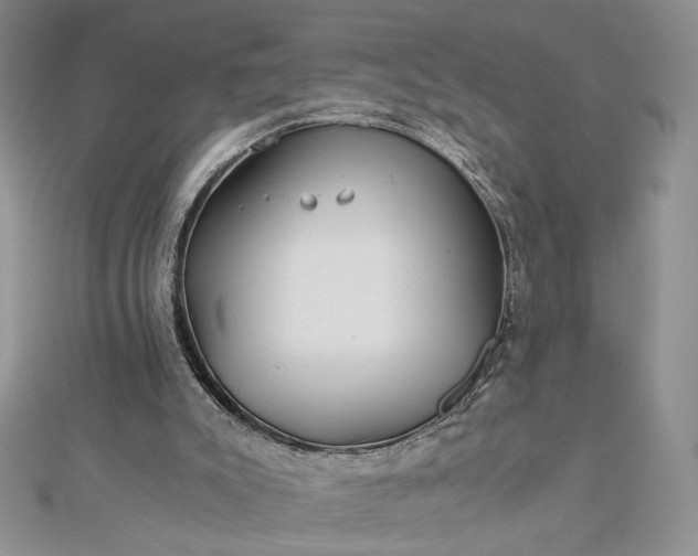 X0000112880007200909041650