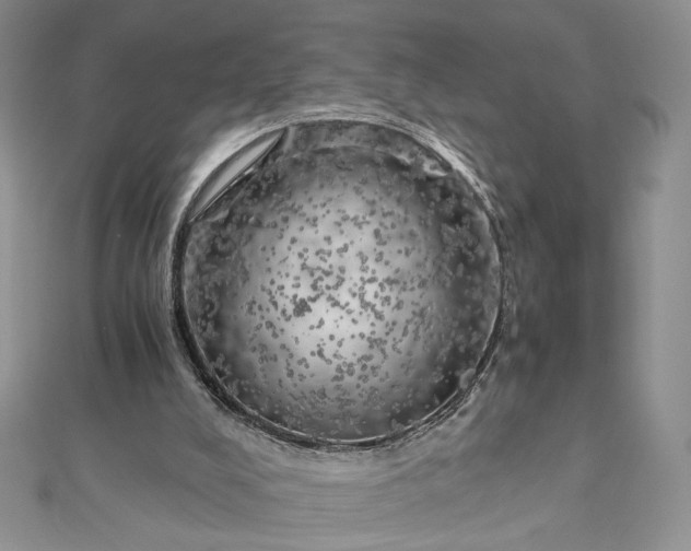 X0000112880008200909041650