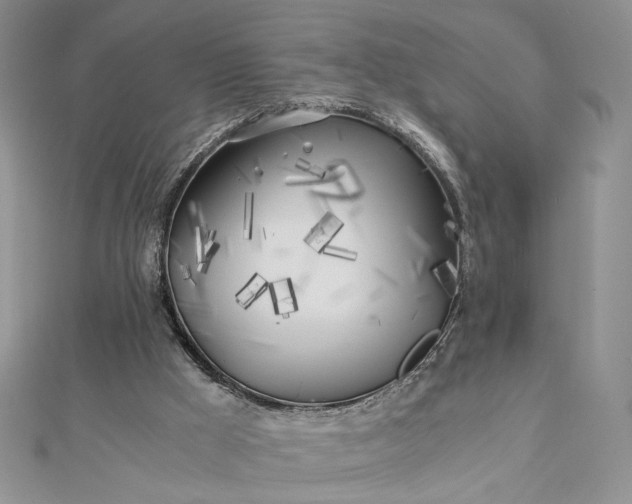 X0000112880009200909041650