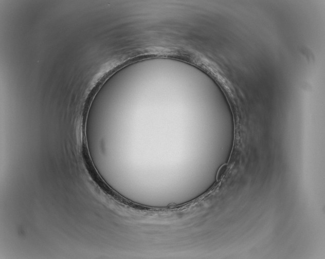 X0000112880011200909041650