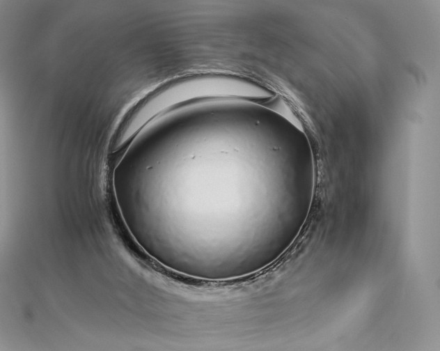 X0000112880012200909041650