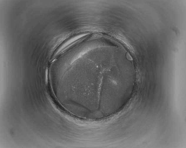 X0000112880014200909041650