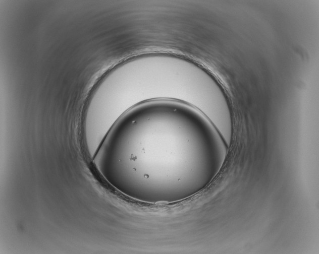 X0000112880015200909041650