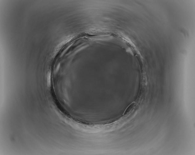 X0000112880019200909041650