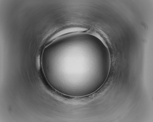 X0000112880020200909041650