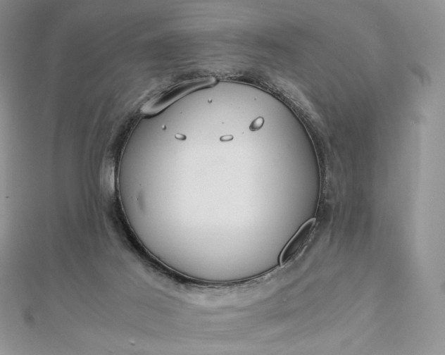 X0000112880021200909041650