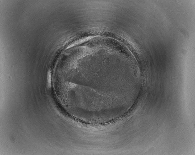 X0000112880022200909041650