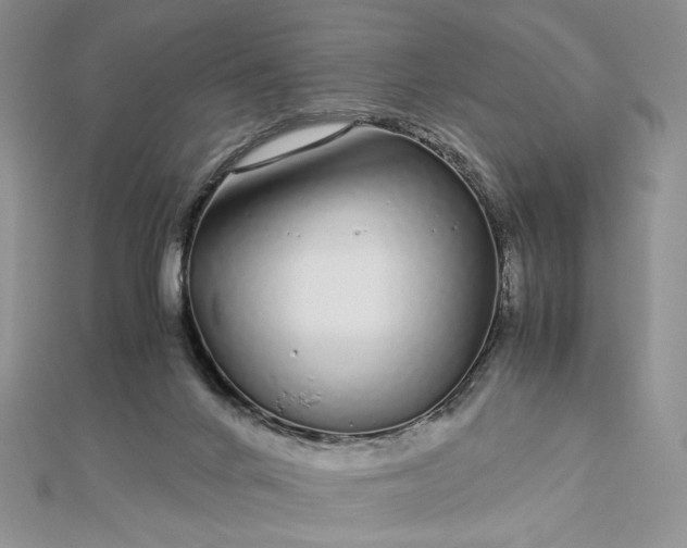 X0000112880024200909041650