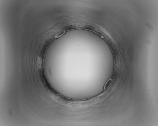 X0000112880025200909041650