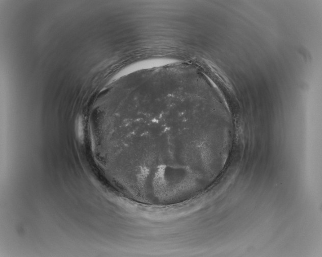 X0000112880026200909041650