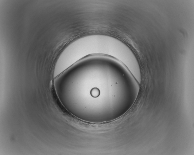 X0000112880027200909041650