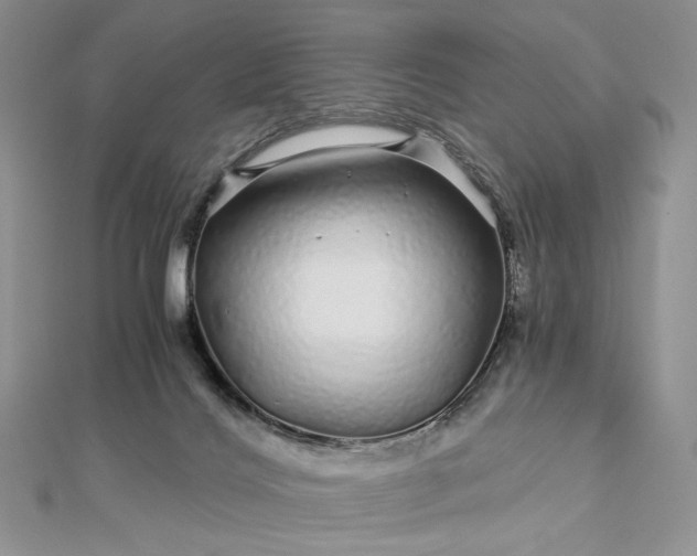 X0000112880028200909041650