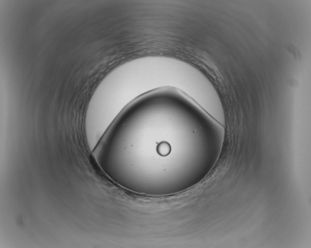 X0000112880029200909041650