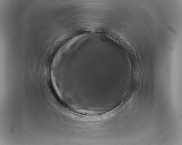 X0000112880031200909041650