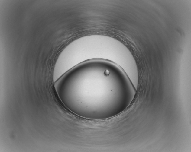 X0000112880033200909041650