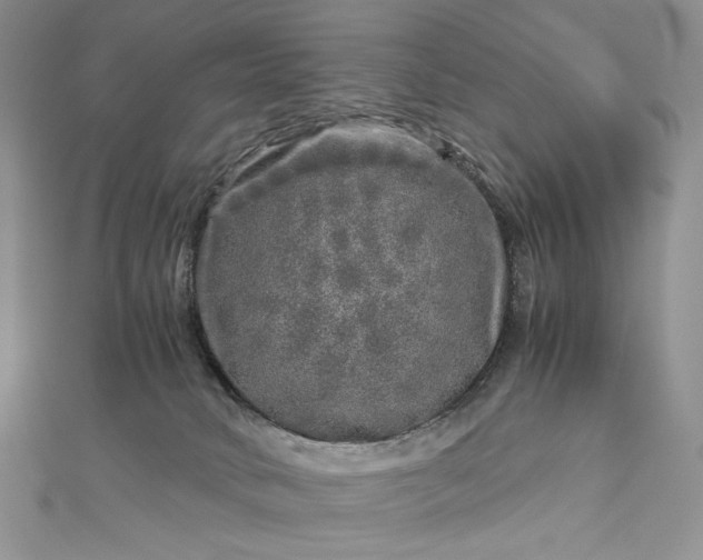 X0000112880034200909041650