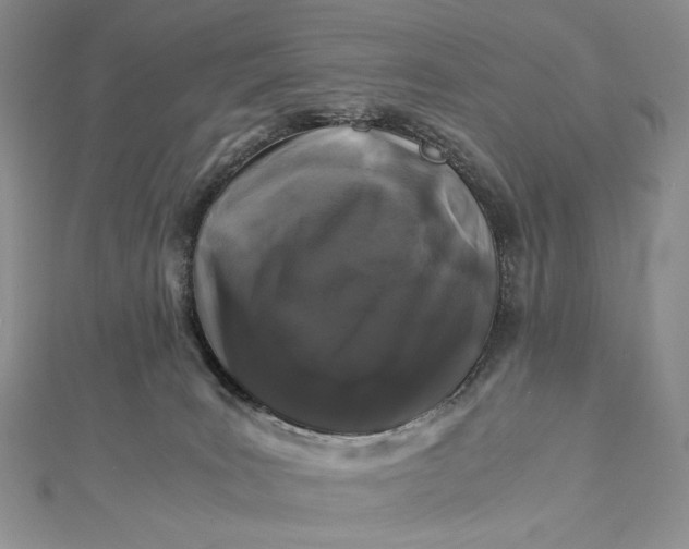 X0000112880035200909041650