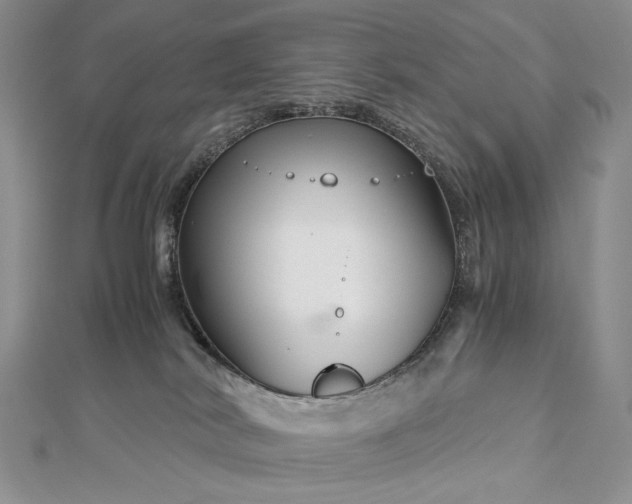 X0000112880038200909041650