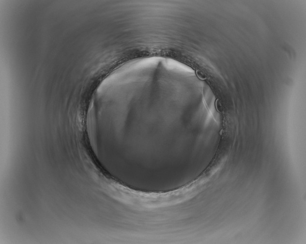 X0000112880039200909041650