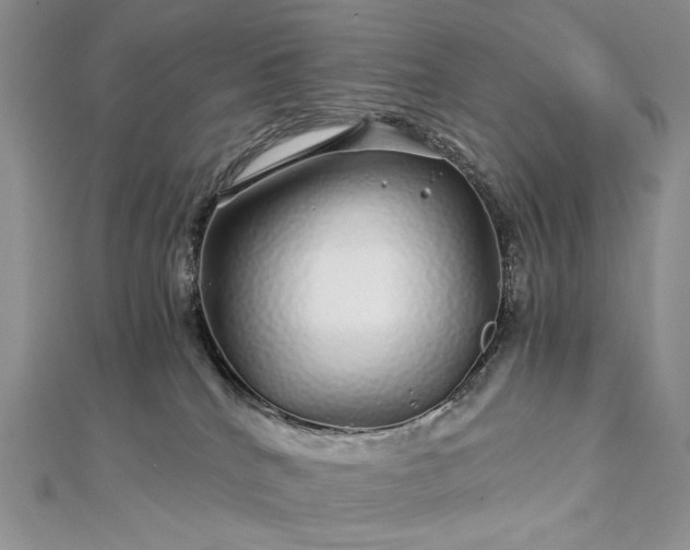 X0000112880040200909041650