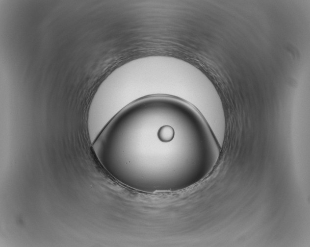 X0000112880041200909041650