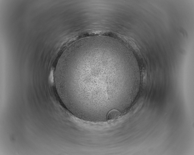 X0000112880042200909041650