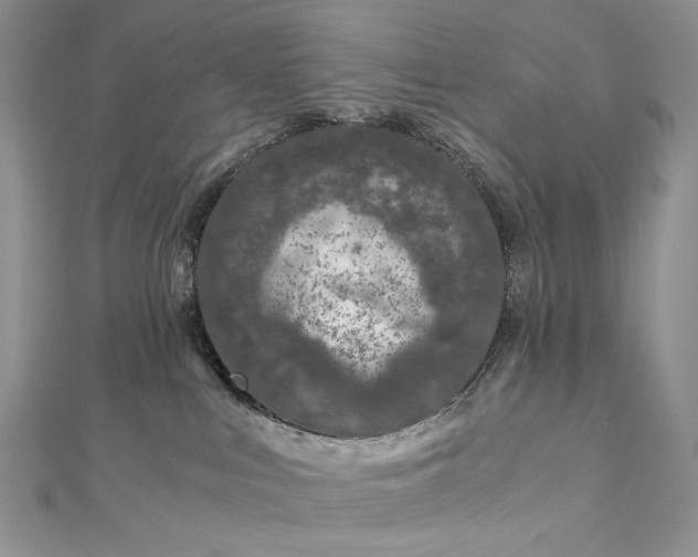 X0000112880043200909041650