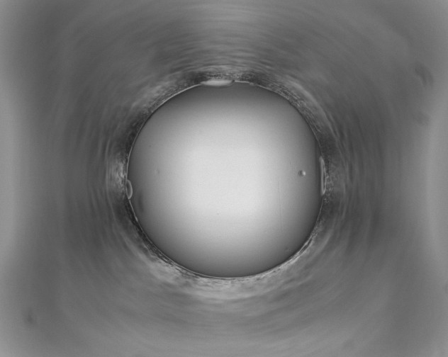 X0000112880045200909041650