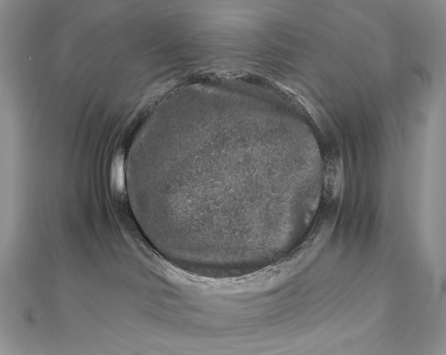 X0000112880046200909041650