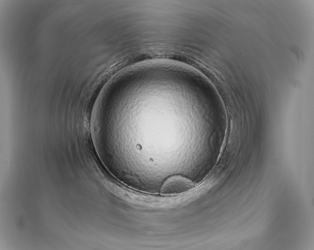 X0000112880048200909041650