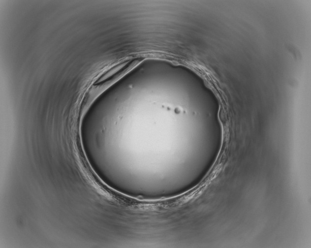 X0000112880049200909041649