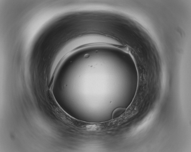 X0000112880050200909041649