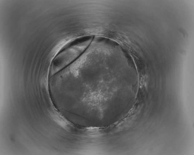 X0000112880052200909041649