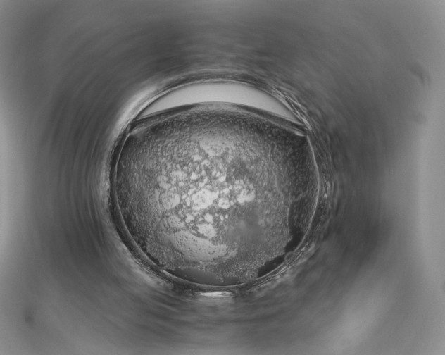 X0000112880053200909041649