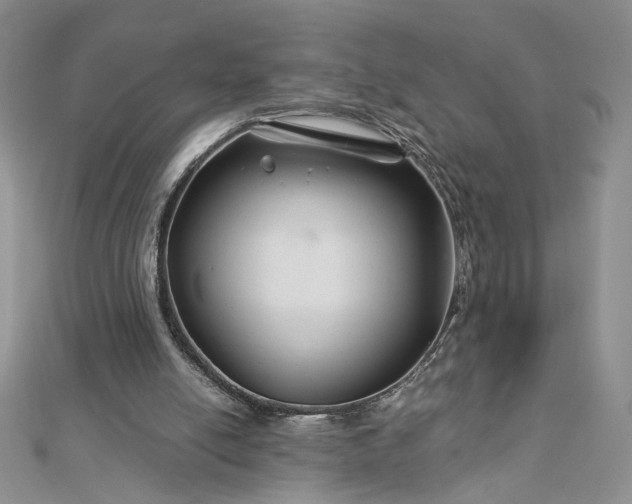 X0000112880054200909041649